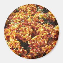 秋梅 マグネット