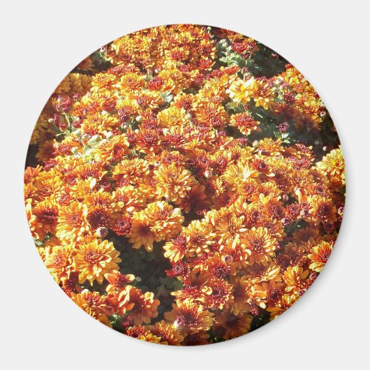 秋梅 マグネット (正面)