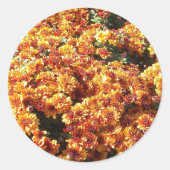 秋梅 ラウンドシール (正面)