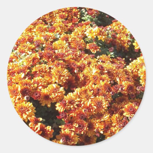 秋梅 ラウンドシール (正面)