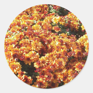 秋梅 ラウンドシール