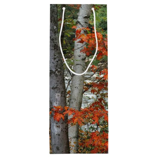 秋樺の木ツリーズサンクスギビング ワインギフトバッグ (裏面)