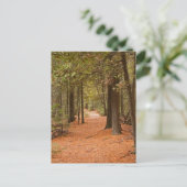 秋歩き ポストカード (スタンド正面)