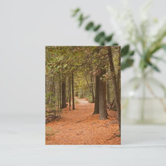 秋歩き ポストカード (スタンド正面)