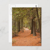 秋歩き ポストカード (正面/裏面)