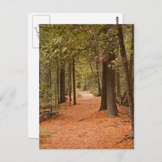 秋歩き ポストカード (正面/裏面)