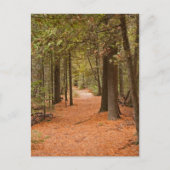 秋歩き ポストカード (正面)