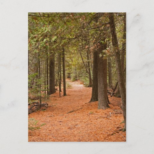 秋歩き ポストカード (正面)