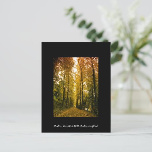 秋歩き ポストカード (スタンド正面)