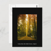 秋歩き ポストカード (正面/裏面)