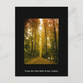 秋歩き ポストカード (正面)