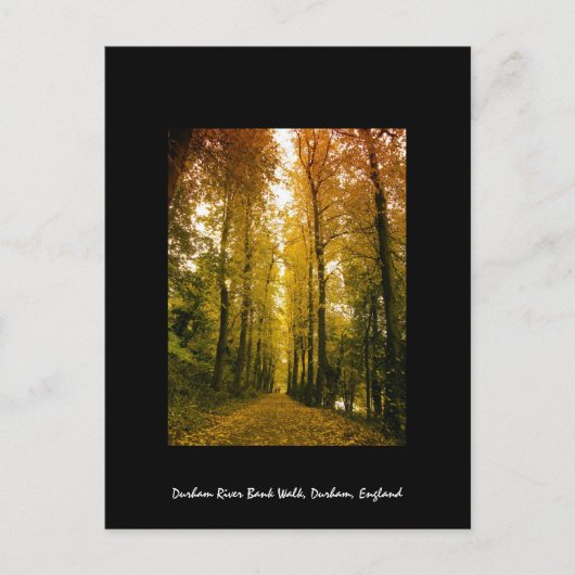 秋歩き ポストカード (正面)