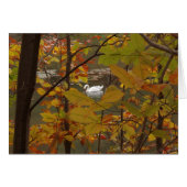 秋池と白鳥 (正面横)