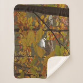 秋池と白鳥 シェルパブランケット (正面)