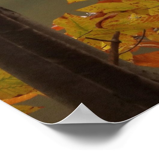 秋池と白鳥 ポスター (角)