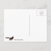 秋池と白鳥 ポストカード (裏面)