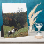 秋池の白馬 フォトプラーク (側面)