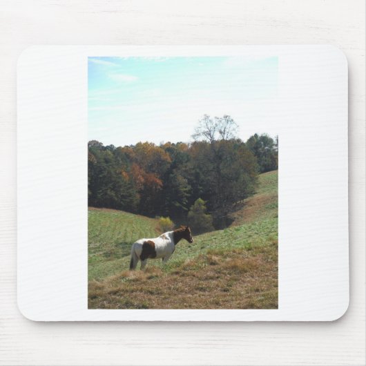 秋池の白馬 マウスパッド (正面)