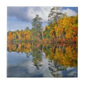 秋池反射、メイン タイル (正面)