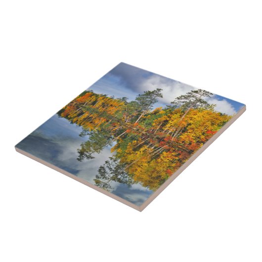 秋池反射、メイン タイル (側面)