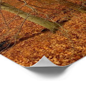 秋流 ポスター (角)