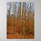 秋流 ポスター (正面)