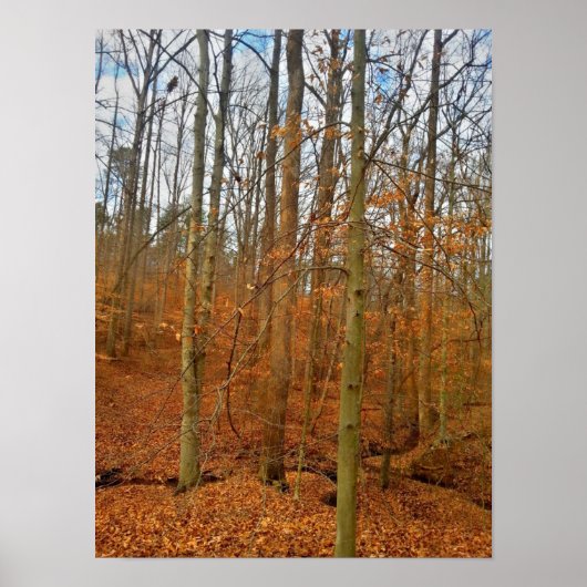 秋流 ポスター (正面)