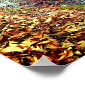 秋流 ポスター (角)