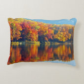 秋湖 アクセントクッション (裏面)