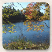 秋湖 コースター (正面)