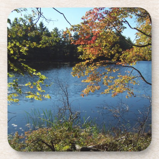 秋湖 コースター (正面)