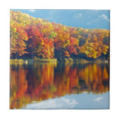 秋湖 タイル (正面)