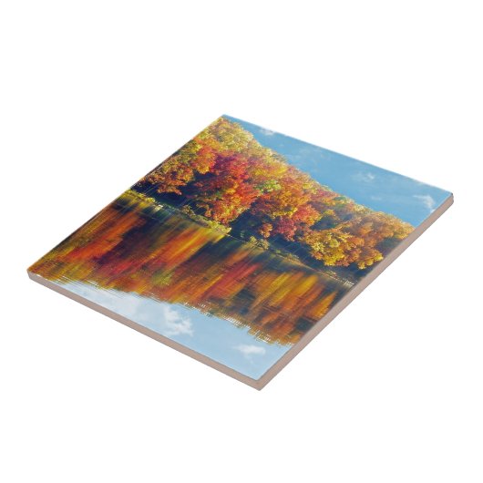 秋湖 タイル (側面)