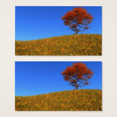 秋澄んのブックマーク (正面&裏面)