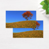 秋澄んのブックマーク (デスク)