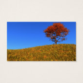 秋澄んのブックマーク (裏面)