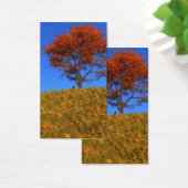 秋澄んのブックマーク (デスク)