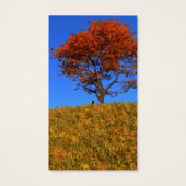 秋澄んのブックマーク (裏面)