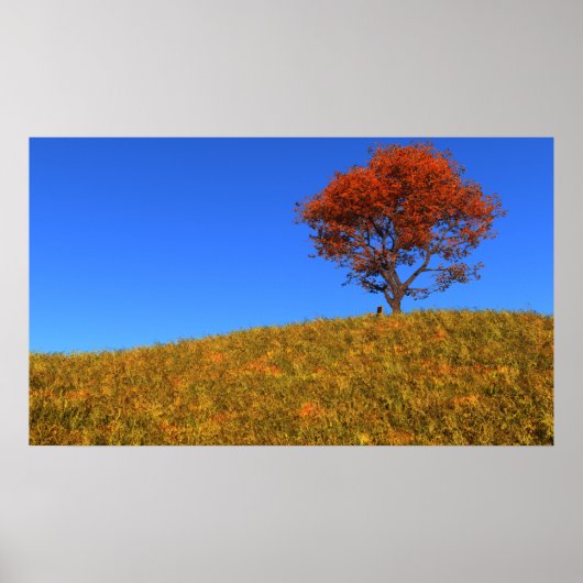 秋澄んの日プリント ポスター (正面)