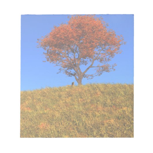 秋澄んの日メモ帳 ノートパッド (正面)