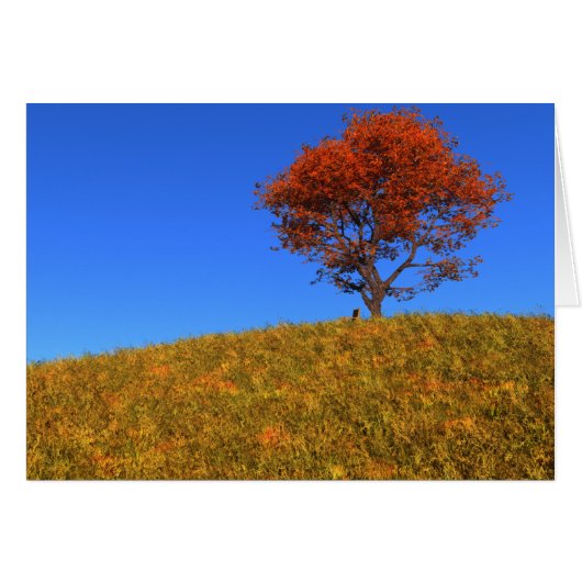 秋澄んの日札 (正面横)