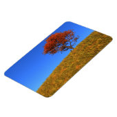 秋澄ん日フレキシブルマグネット マグネット (左側)