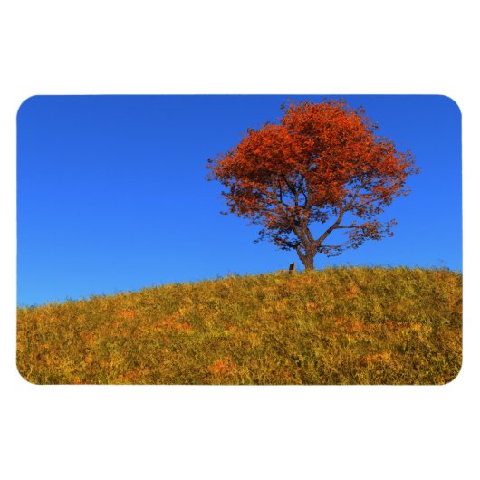 秋澄ん日フレキシブルマグネット マグネット (横)