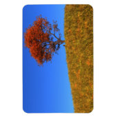 秋澄ん日フレキシブルマグネット マグネット (縦)