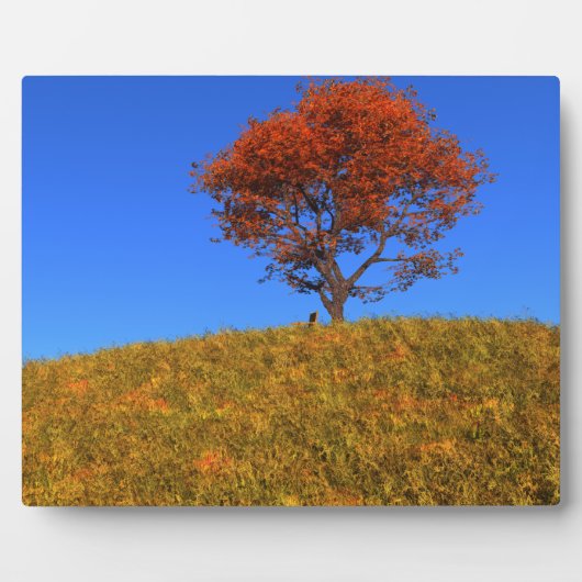 秋澄ん日写真プラーク フォトプラーク (正面)