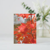 秋火事 ポストカード (スタンド正面)