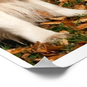 秋犬 ポスター (角)