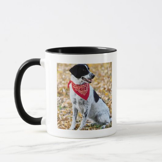 秋犬 マグカップ (左)