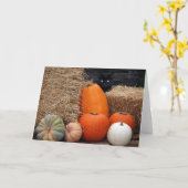 秋猫 カード (黄色い花)