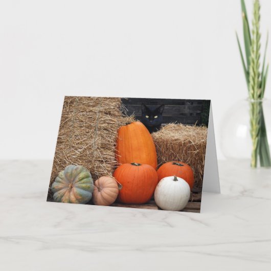 秋猫 カード (正面)